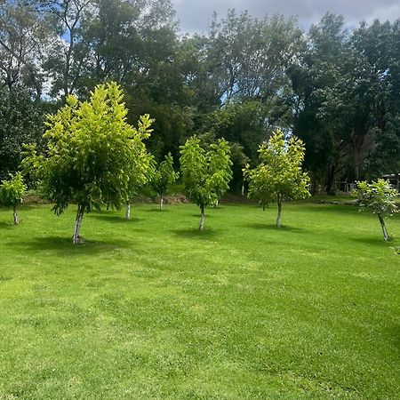 Cabanas Cumbres De Aguacatitla Huasca de Ocampo Εξωτερικό φωτογραφία