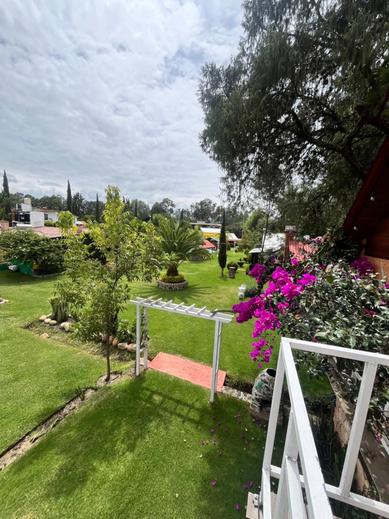 Cabanas Cumbres De Aguacatitla Huasca de Ocampo Εξωτερικό φωτογραφία
