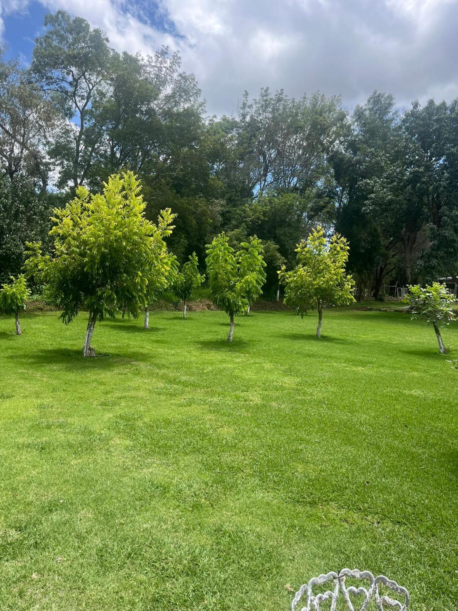 Cabanas Cumbres De Aguacatitla Huasca de Ocampo Εξωτερικό φωτογραφία