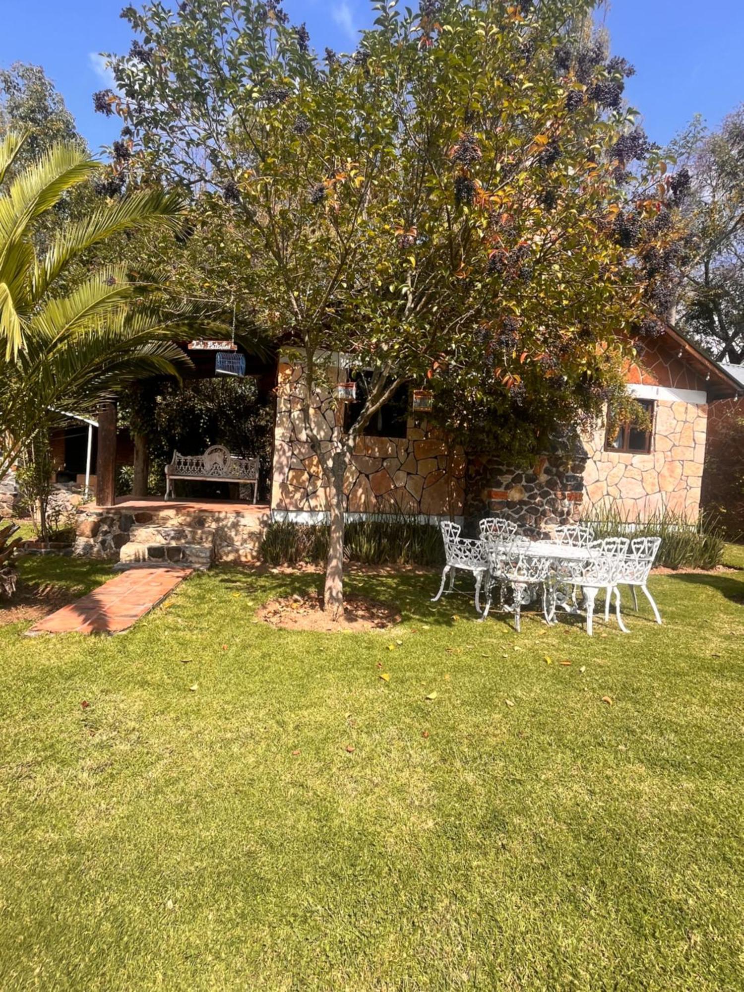 Cabanas Cumbres De Aguacatitla Huasca de Ocampo Εξωτερικό φωτογραφία