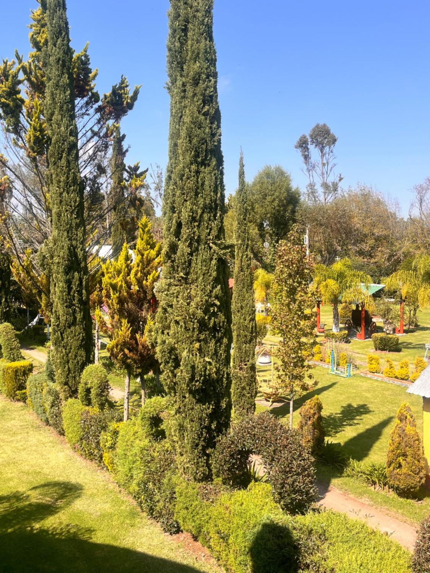 Cabanas Cumbres De Aguacatitla Huasca de Ocampo Εξωτερικό φωτογραφία