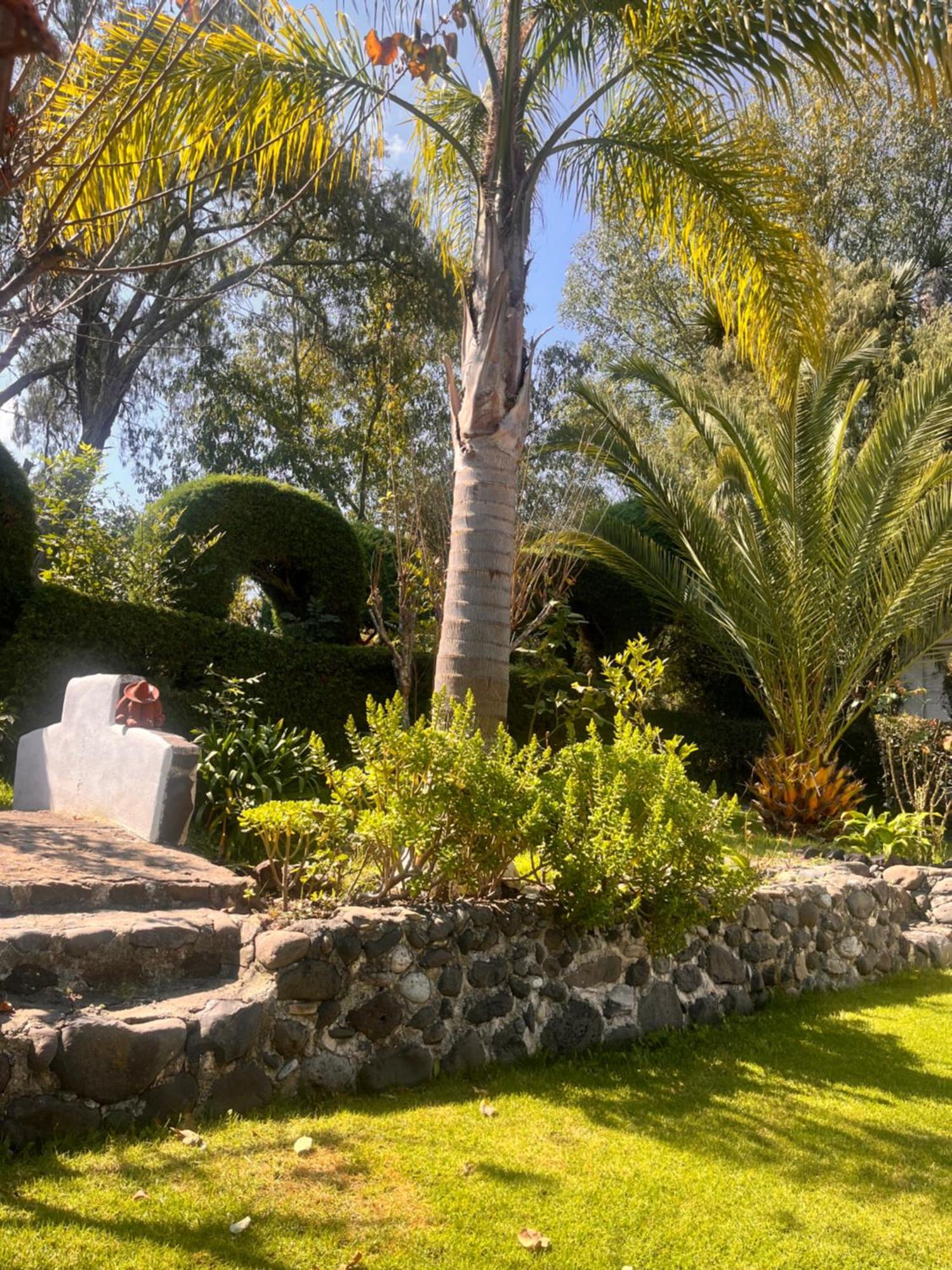 Cabanas Cumbres De Aguacatitla Huasca de Ocampo Εξωτερικό φωτογραφία