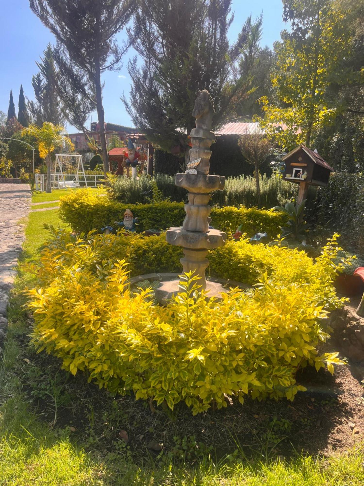Cabanas Cumbres De Aguacatitla Huasca de Ocampo Εξωτερικό φωτογραφία