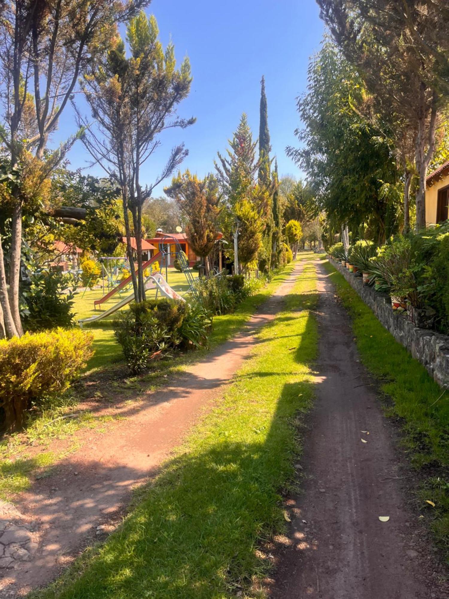Cabanas Cumbres De Aguacatitla Huasca de Ocampo Εξωτερικό φωτογραφία