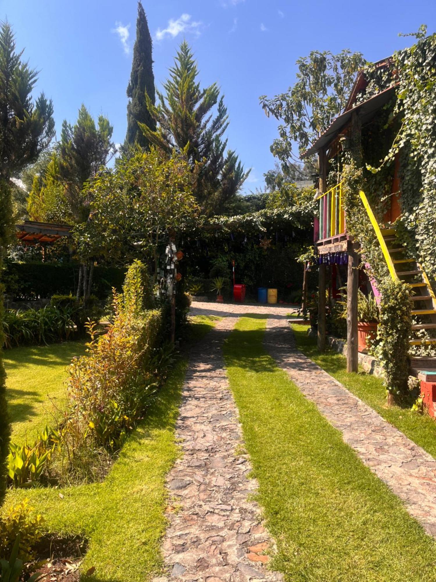 Cabanas Cumbres De Aguacatitla Huasca de Ocampo Εξωτερικό φωτογραφία