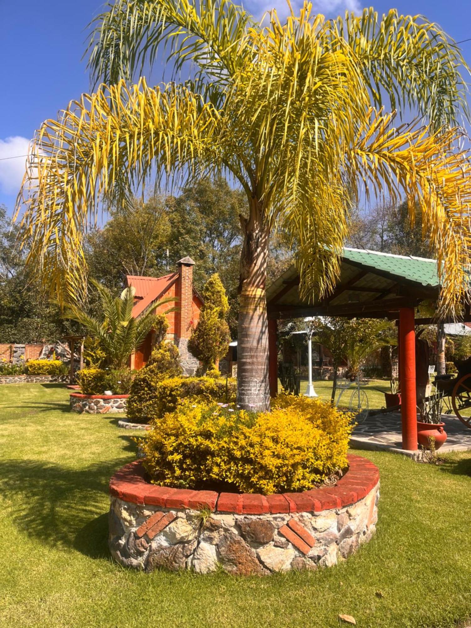Cabanas Cumbres De Aguacatitla Huasca de Ocampo Εξωτερικό φωτογραφία