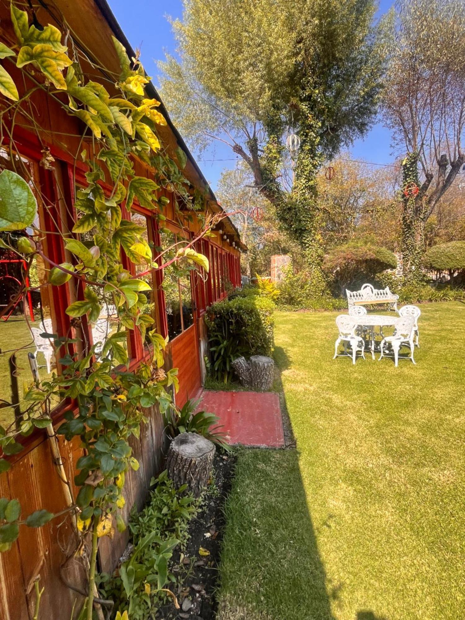 Cabanas Cumbres De Aguacatitla Huasca de Ocampo Εξωτερικό φωτογραφία