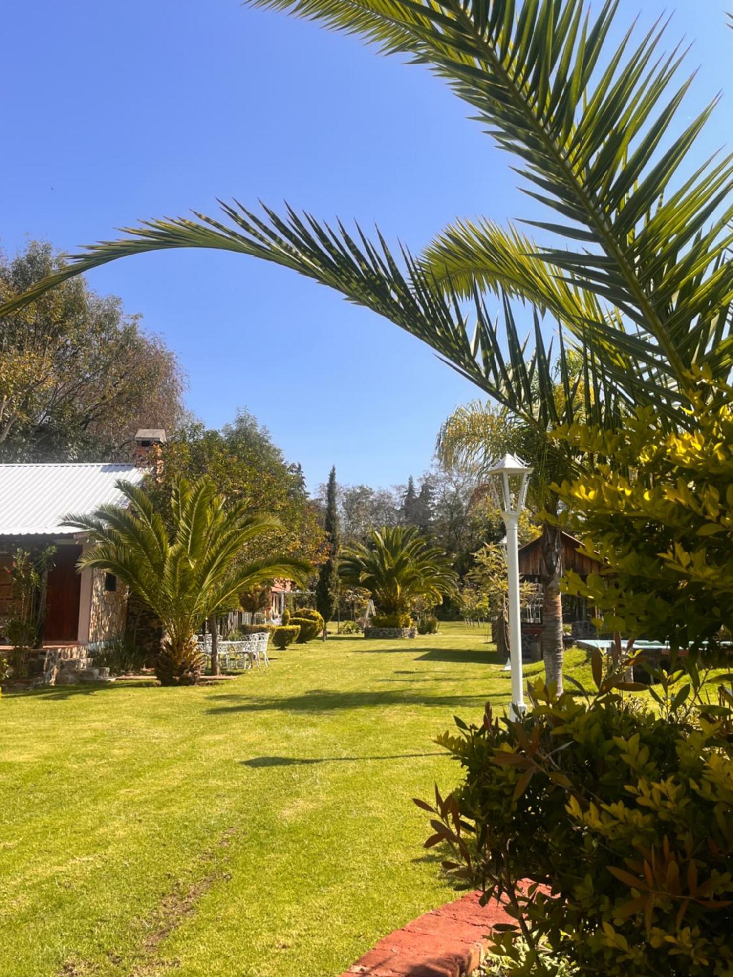 Cabanas Cumbres De Aguacatitla Huasca de Ocampo Εξωτερικό φωτογραφία