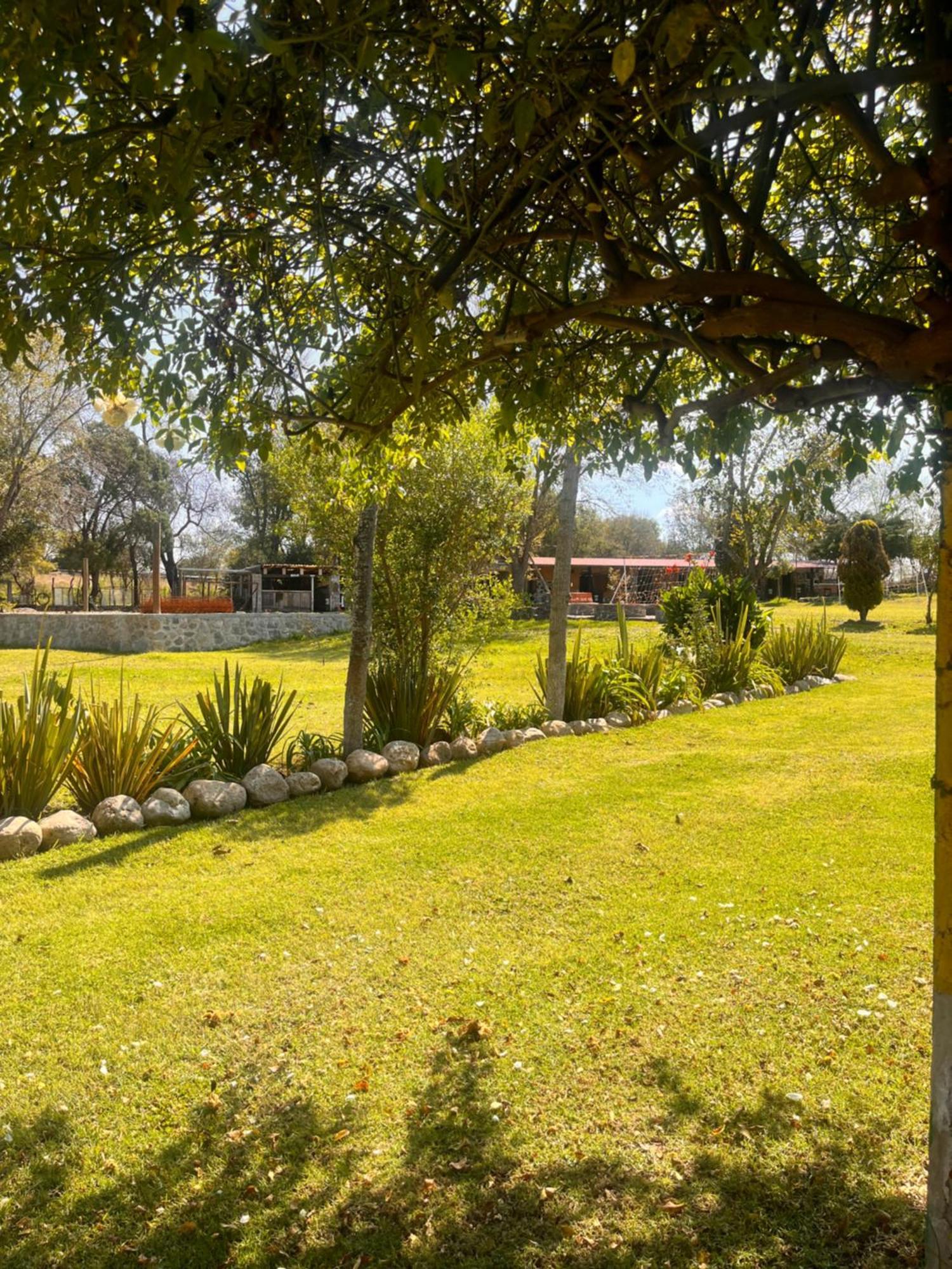 Cabanas Cumbres De Aguacatitla Huasca de Ocampo Εξωτερικό φωτογραφία