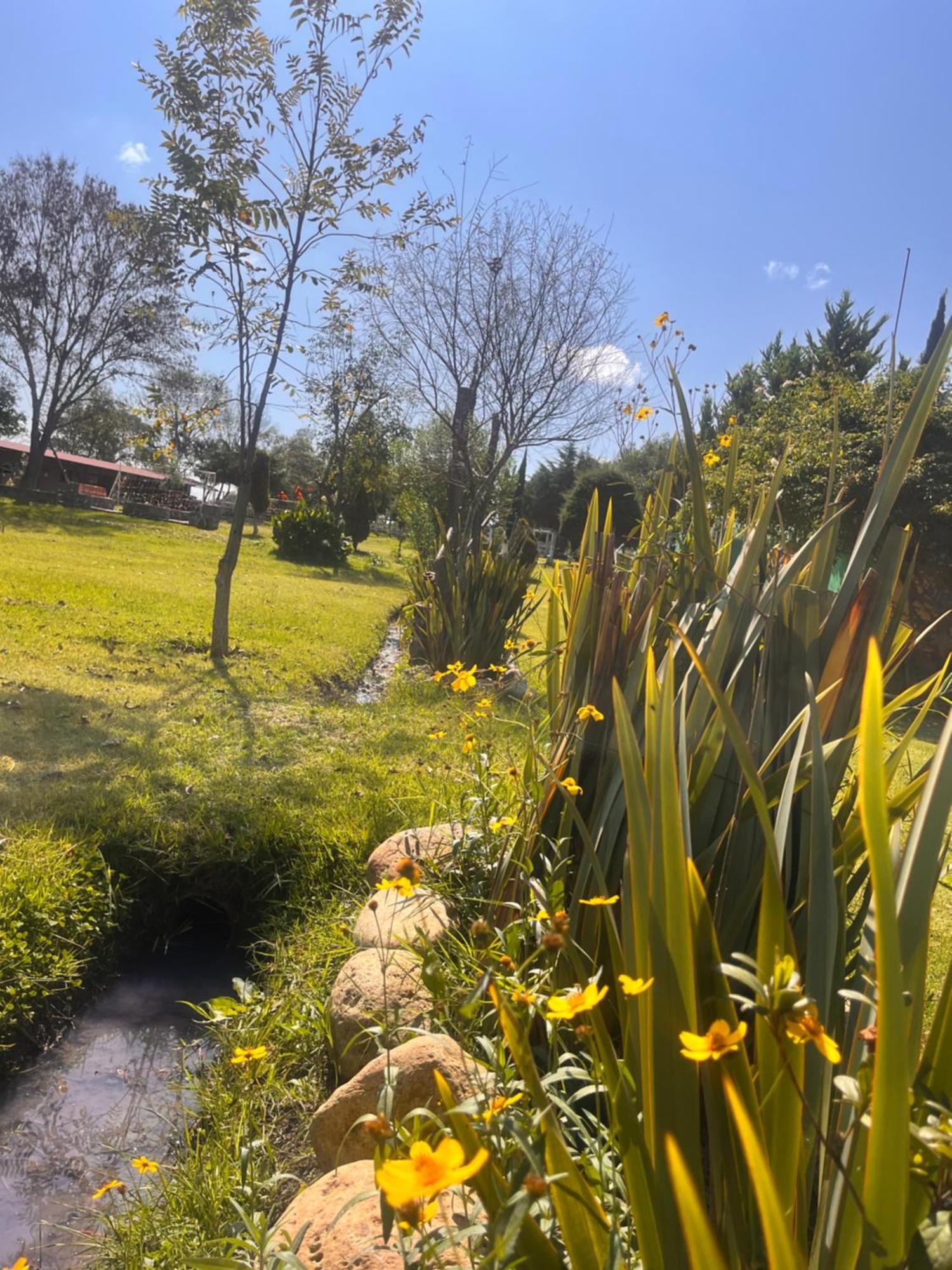 Cabanas Cumbres De Aguacatitla Huasca de Ocampo Εξωτερικό φωτογραφία
