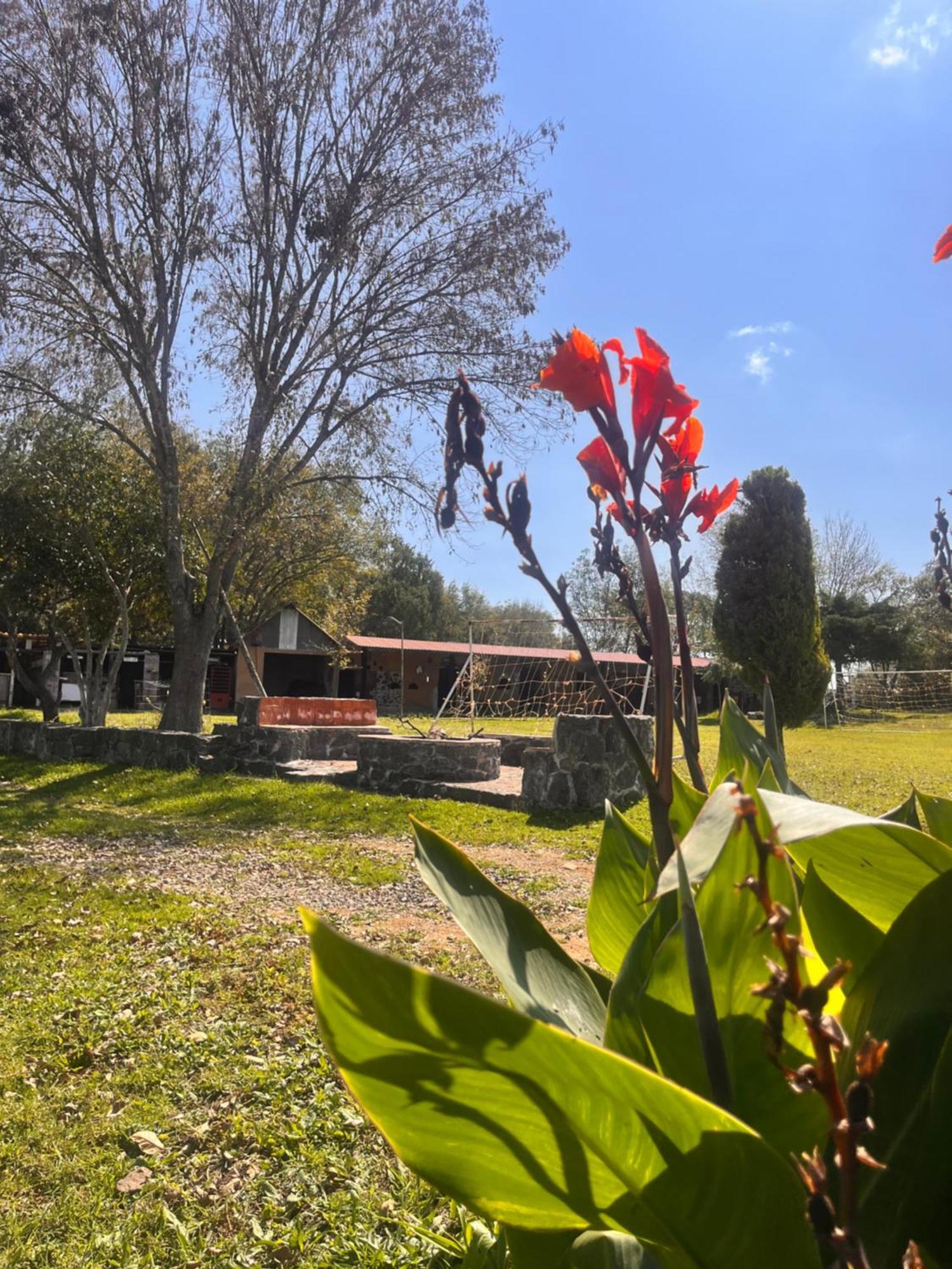 Cabanas Cumbres De Aguacatitla Huasca de Ocampo Εξωτερικό φωτογραφία