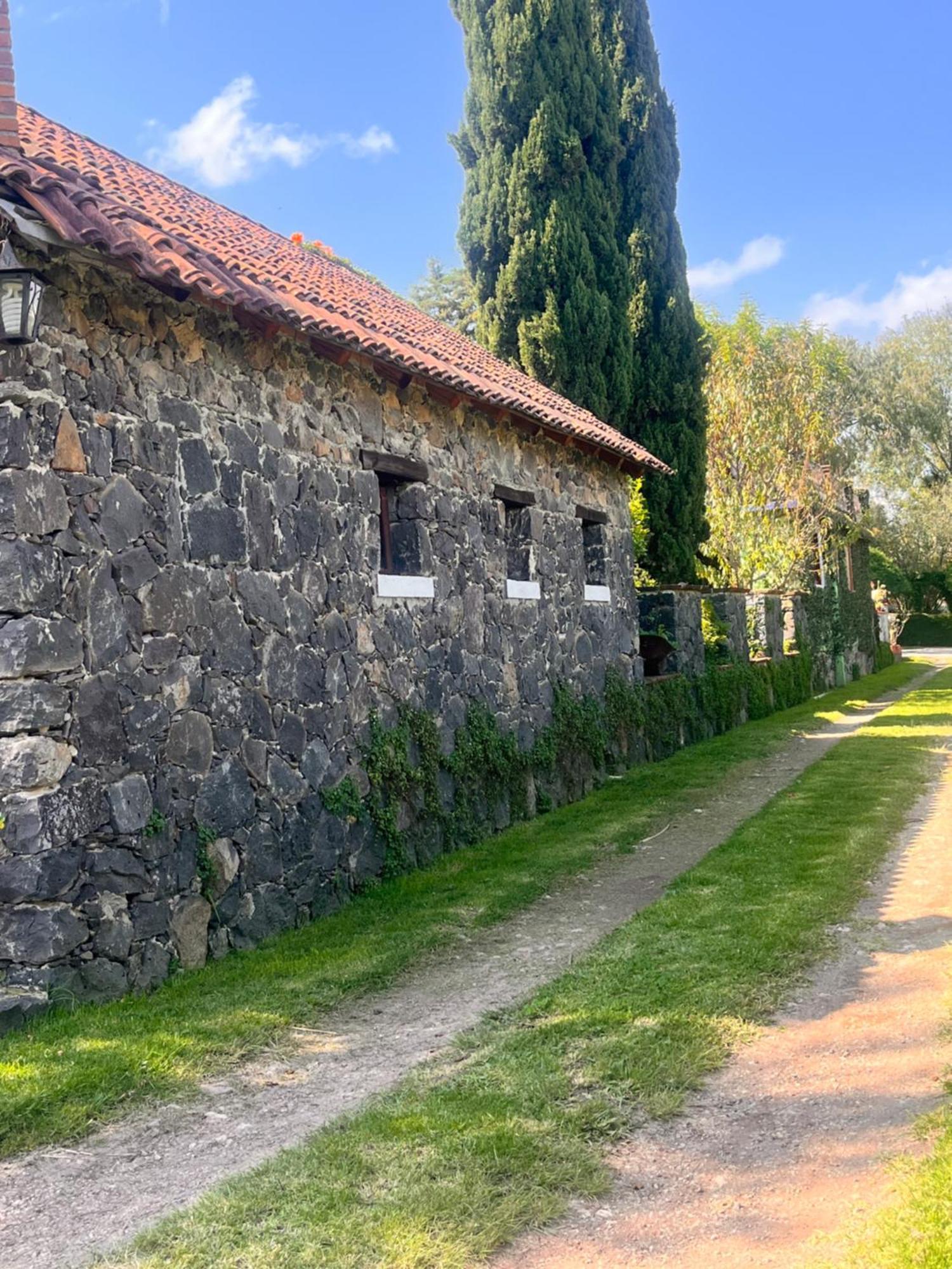 Cabanas Cumbres De Aguacatitla Huasca de Ocampo Εξωτερικό φωτογραφία