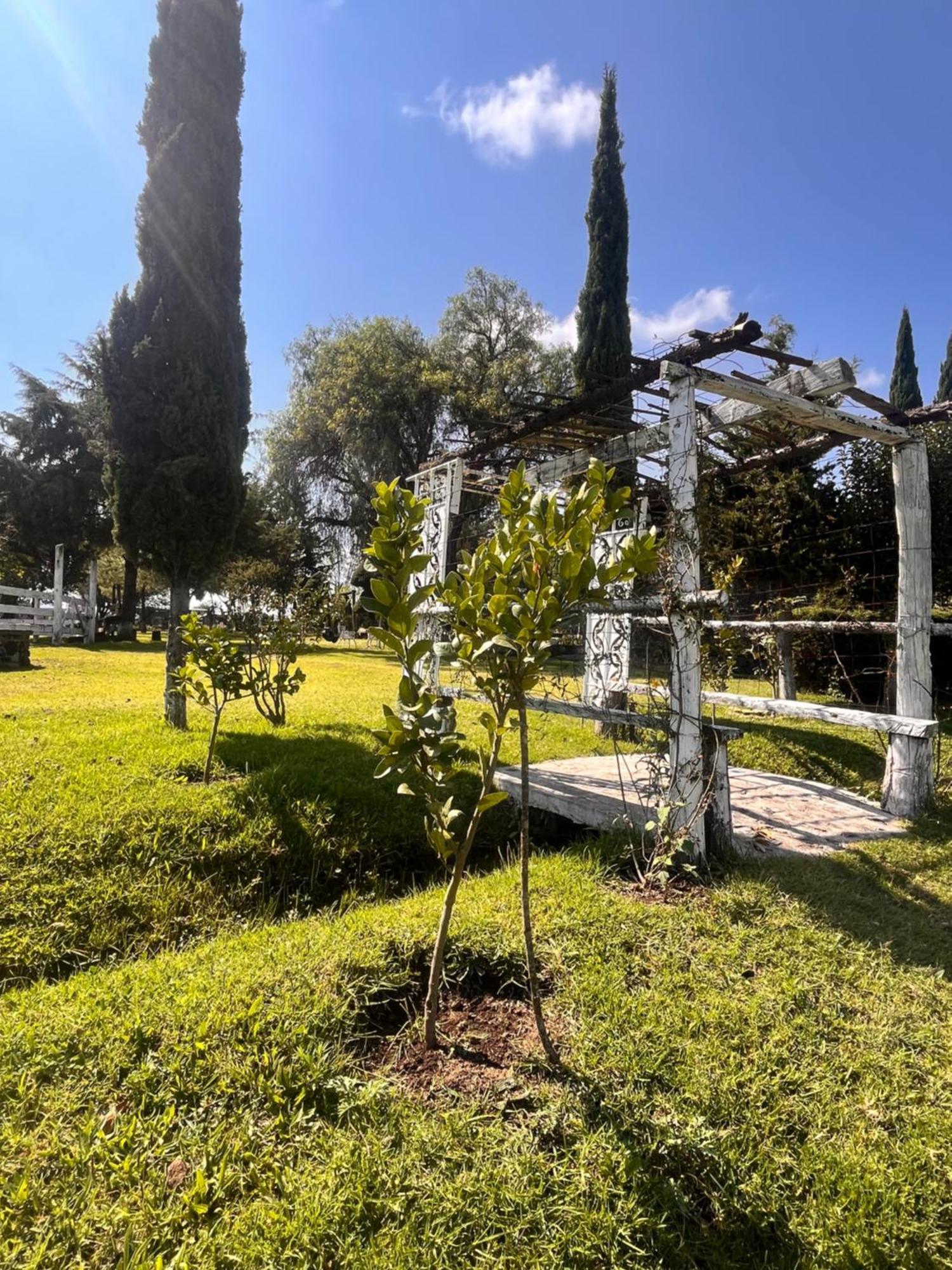 Cabanas Cumbres De Aguacatitla Huasca de Ocampo Εξωτερικό φωτογραφία