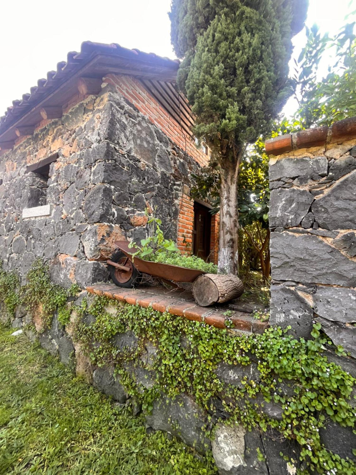 Cabanas Cumbres De Aguacatitla Huasca de Ocampo Εξωτερικό φωτογραφία