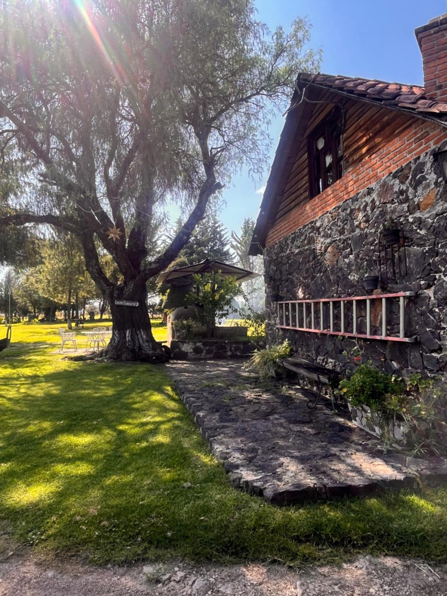Cabanas Cumbres De Aguacatitla Huasca de Ocampo Εξωτερικό φωτογραφία